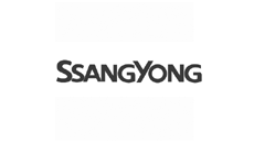 SsangYong Dash Mounts