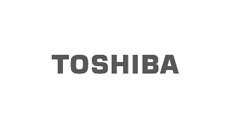 Toshiba Bærbar Batterier